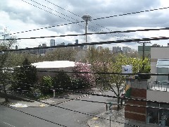 Space needle; Seattle
