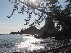 Olympic Peninsula Washington