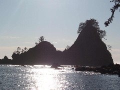 Olympic Peninsula Washington