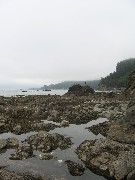 Ben Dorrough; Olympic Peninsula Washington