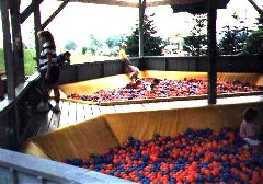 Ben Dorrough; Hershey PA
