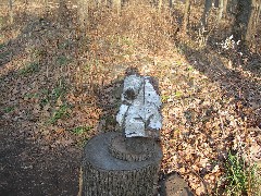 Taken by; David Dorrough; Mendon Ponds