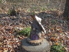 Taken by; David Dorrough; Mendon Ponds