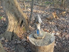 Taken by; David Dorrough; Mendon Ponds