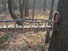 Taken by; David Dorrough; Mendon Ponds