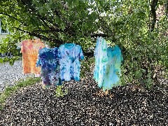 Tie Dye Shirts; How Haus Perry, NY