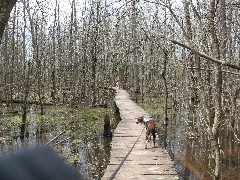 Ruth Bennett McDougal Dorrough; Wyatt dog; in the woods at FLCC
