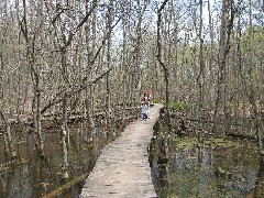 Jacob Wheeler; Katherine (Kat) McDougal Wheeler McCandless; Ellery Wheeler; in the woods at FLCC