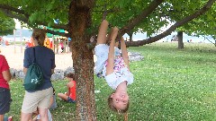 Ellery Wheeler; Taughannock Falls State Park Playground
