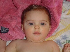Ellery Wheeler