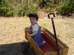 Ellery Wheeler; wagon