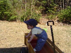 Ellery Wheeler; wagon