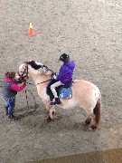 Ellery Kate Wheeler; pony; Full Circle Farm; Newport, NH
