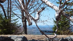 Winslow State Park, NH