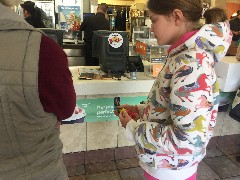 Ellery Kate Wheeler; gadget; McDonald s; Tewksbury, MA