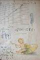 Dan Dorrough; babybook