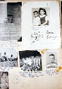 Dan Dorrough; babybook