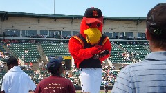 chicken Mascot; BCC Software; Red Wings Baseball Game