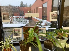 taken by David Dorrough @ Ewing Continuing Care Center