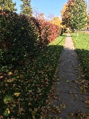 Canandaigua, NY; Taken by David Dorrough