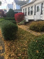 156 West Avenue Canandaigua, NY Taken by David Dorrough