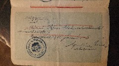 Grandparents; Julia Szechy Passport;