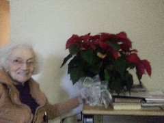 Julia Dorrough; Poinsetta Flowers; Dayspring Nursing Home; Dayton-Springfield Road; Fairborn, OH