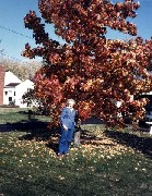 Julia (Judy) Kish Dorrough