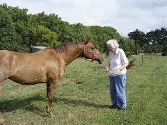 Julia (Judy) Kish Dorrough giving a carrot to the horse that she and Karen Rose visit every day