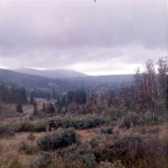 Arapahoe Colorado Friends Glacier Hike