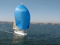 Travel San Diego 2004; harbor tour; sailboat