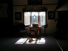 cat; Aimee Brazill s house