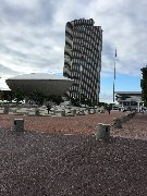 Egg in Albany, NY