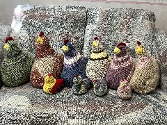 Ruth; Handy Work; Emotional Support Chickens
