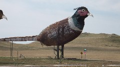 Enchanted Highway; Pheasants on the Prairie , ND