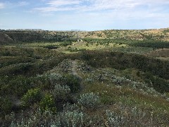 Theodore Roosevelt National Park, ND