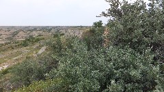 Theodore Roosevelt National Park; Painted Canyon visitor Center, ND