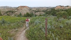 Ruth Bennett McDougal Dorrough; Theodore Roosevelt National Park; Painted Canyon Visitor Center, ND