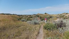 Ruth Bennett McDougal Dorrough; Theodore Roosevelt National Park, ND