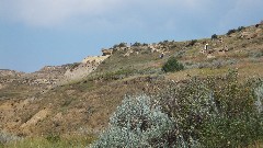 Theodore Roosevelt National Park, ND