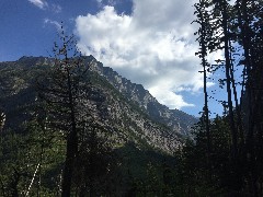 Glacier National Park; Avalanche Trail, MT