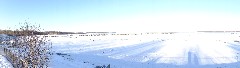 Fairbanks to Anchorage Train