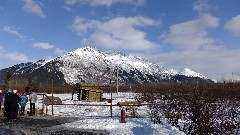 Alaska Wildlife Rehabilitation Center