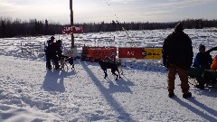 Alaska Dog Mushers Association;
