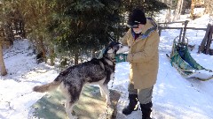 visiting Mary Shields, author of Tails of the Trail dog sledding book