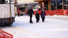 Open North American Championship Sled Dog Race