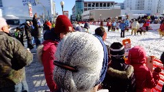 Open North American Championship Sled Dog Race