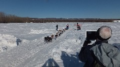 Open North American Championship Sled Dog Race