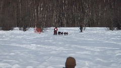 Open North American Championship Sled Dog Race