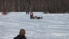 Open North American Championship Sled Dog Race
